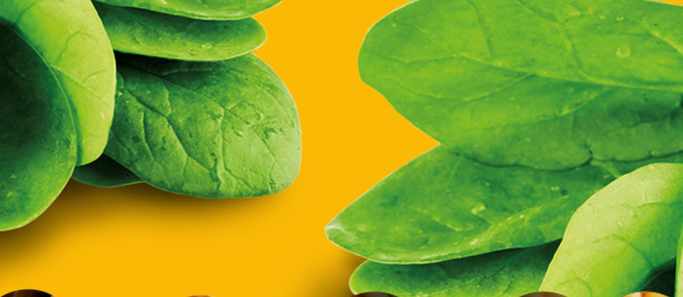Heavenly Tasty - Baby Food Ingredients Spinach